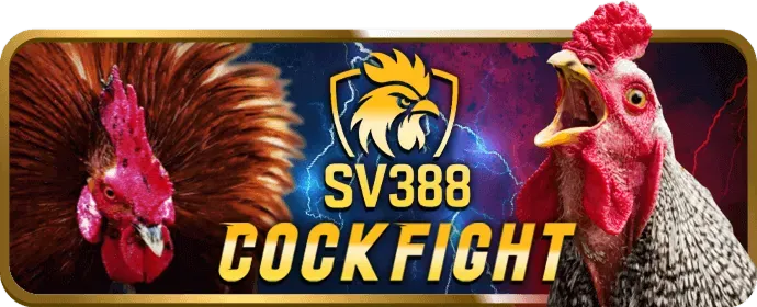 Video Slots TOP88